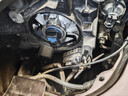 歐司朗（OSRAM）汽車(chē)大燈遠光燈近光鹵素燈 亮白藍H11【色溫4000K】12V 55W 曬單實(shí)拍圖