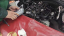 奧迪（AUDI）原廠全合成機油潤滑油A6LA4LQ3Q5Q7A1A3A5全系通用保養(yǎng)5W-40原裝 【保養(yǎng)套裝】5W-40原廠 4L+機濾 曬單實拍圖