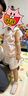 漢宮優(yōu)品女童漢服古風(fēng)超仙嬰兒夏裝兩件套一歲小女孩衣服周歲禮服寶寶套裝 花鈿兔 90 曬單實拍圖