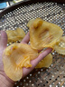 古九珍 公肚赤嘴鳘魚(yú)膠陳年花膠紅雞赤嘴本港湛江干貨孕產(chǎn)婦月子送禮盒 100克約4-5頭裝（25頭/斤） 曬單實(shí)拍圖