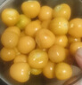 東北姑娘果新鮮燈籠果黃菇娘果禮盒當(dāng)季洋姑娘果大果甜菇?jīng)稣?【實(shí)惠】凈重2斤 精品中果5-8g 曬單實(shí)拍圖