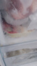 盱眙龍蝦盱眙小龍蝦尾蝦球加熱即食 麻辣香辣蒜蓉十三香 火鍋燒烤夜宵蘇超 整箱5斤彩標(biāo)塑封禮盒凈重4斤 【店長推薦】經(jīng)典麻辣口味 曬單實(shí)拍圖