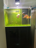 仟湖魚(yú)缸硝化細菌活菌膠囊干粉水族箱養魚(yú)用品高濃度優(yōu)質(zhì)菌種穩定水質(zhì) 麥特貝硝化菌10粒（龍魚(yú)專(zhuān)用） 曬單實(shí)拍圖