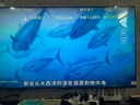 飛利浦（PHILIPS）65英寸4K超高清智慧全面屏 高頻調光護眼 遠場(chǎng)AI語(yǔ)音智能液晶平板電視機 65PUF7590/T3 曬單實(shí)拍圖