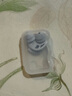 戴思（DAISI）雙層降噪超強(qiáng)防噪音學(xué)習(xí)睡眠防呼?？伤醇{米硅膠隔音耳塞男女 曬單實(shí)拍圖