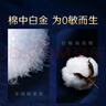高潔絲【近0敏海島棉】夜安褲L號(hào)3條100-140斤褲型姨媽巾安心褲京東自營(yíng) 曬單實(shí)拍圖