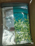 珀萊雅（PROYA）面膜 小球藻面膜 保濕海藻面膜補水面膜女男20片 曬單實拍圖