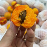 JOWOYE蘋果華為手機(jī)掛脖磁吸支架胸前拍攝第一人稱視角支架vlog戶外騎行釣魚拍攝相機(jī)掛脖支架 曬單實(shí)拍圖