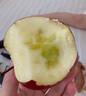 現(xiàn)摘當(dāng)季云南昭通野生丑蘋果冰糖心蘋果水果新鮮脆甜大果5/10斤 中果70mm-75mm脆甜 5斤 曬單實(shí)拍圖