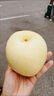 黃六爺黃金奶油富士蘋(píng)果山東新鮮水果牛奶特大果白色冰糖心整箱包郵9斤 5斤 75mm-80mm 商超精品 | 中果 曬單實(shí)拍圖