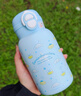 三麗鷗（SANRIO）兒童保溫杯316不銹鋼吸管水杯禮物雙飲男女學(xué)生上學(xué)水壺喝水杯子 大耳狗500ml（S禮盒裝） 曬單實(shí)拍圖