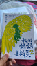 我的媽媽是精靈（共2冊） 課外閱讀 閱讀 課外書暑假作業(yè) 一升二暑假銜接 小升初暑假銜接 曬單實拍圖