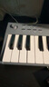 midiplusTINY+32鍵便攜迷你小打擊墊電音控制器音樂鍵盤編曲MIDI鍵盤 32鍵灰色【TINY】無打擊墊 【五倉發(fā)貨】新品期送踏板 曬單實拍圖