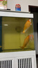 森森（SUNSUN）錦鯉魚飼料觀賞魚金魚飼料專用魚糧增色不渾水魚食錦鯉專用 綜合營養(yǎng)6mm大顆粒 5斤裝 曬單實拍圖
