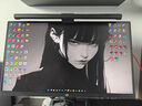 泰坦軍團(tuán)24.5英寸 1152分區(qū) MiniLED 2K 320Hz DyDs技術(shù) RGB背光燈 升降旋轉(zhuǎn)1msGTG專業(yè)電競顯示器P245MS+  曬單實拍圖