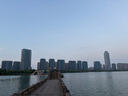 一蝦一世界國產(chǎn)大號青蝦仁 去蝦線(xiàn)冷凍翡翠蝦仁 健康輕食低脂 火鍋燒烤食材 蝦仁 1250g(凈重)  【250g*5袋】 曬單實(shí)拍圖