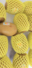 佳沛（zespri）新西蘭 陽光金奇異果12粒禮盒特大果單果約122-146g 獼猴桃 水果 曬單實拍圖