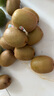佳沛（zespri）綠奇異果 優(yōu)選大果12粒單果約113-135g  水果禮盒 獼猴桃 曬單實拍圖