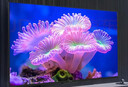 飛利浦（PHILIPS）50英寸4K超高清智慧全面屏 高頻調(diào)光護(hù)眼 遠(yuǎn)場(chǎng)AI語音智能液晶平板電視機(jī)50PUF7590/T3 國(guó)家補(bǔ)貼15% 曬單實(shí)拍圖