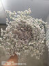 韓束金剛俠面膜抗皺緊致抗老提拉補水保濕黃金面膜生日禮物送禮女25片 曬單實拍圖