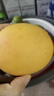 廣西小臺(tái)農(nóng)芒果 新鮮水果 帶箱2斤【單果80-120g】 曬單實(shí)拍圖