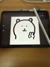 蘋果Apple Pencil 一代/二代 蘋果手寫筆二手蘋果手寫筆/電容筆/觸控筆二手平板電腦配件 蘋果Pencil 二代手寫筆+備用筆尖【99新】 曬單實拍圖