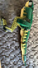 樂高（LEGO）積木拼裝31151 霸王龍男孩女孩兒童玩具生日禮物 曬單實拍圖
