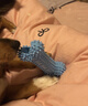 贊寵馬卡龍狗狗玩具4件套 磨牙耐咬通用犬訓練互動(dòng)自嗨解悶TPR橡膠球 曬單實(shí)拍圖