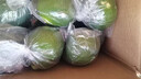 正宗新鮮檸檬香水青檸檬奶茶店 青檸檬皮薄多汁當(dāng)季 裸果凈重1斤裝單果60-80g 曬單實(shí)拍圖