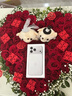 Apple/蘋(píng)果 iPhone 17 Pro Max 512GB 銀色 支持移動(dòng)聯(lián)通電信5G 雙卡雙待手機(jī) 曬單實(shí)拍圖