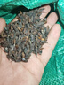 云南紅花百步種子材紫花百部籽高產(chǎn)九蟲(chóng)根中草藥對葉百步種苗 百步種子半斤 曬單實(shí)拍圖