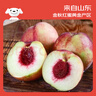 京覓正宗山東青州蜜桃 凈重4.5斤裝 單果70g+ 生鮮水果 源頭直發(fā) 曬單實(shí)拍圖
