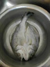 三去開(kāi)背鱸魚(yú)七星鱸魚(yú)新鮮烤魚(yú)半成品冷凍冰鮮特大開(kāi)背鱸魚(yú) 開(kāi)背鱸魚(yú)【650-750g左右/條】 3條 曬單實(shí)拍圖