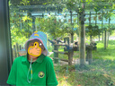 moodytiger兒童防曬帽透氣夏季男童帽子印花旅行寬檐可調(diào)節(jié)松緊女童遮陽帽 彩蛙青 曬單實(shí)拍圖