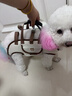 曇蓓漫狗包寵物背帶包外出狗狗背帶中小型犬背狗神器胸前背包貓咪攜帶包 多功能寵物外帶包 M碼（適合8-13斤寵物） 透氣舒適丨不悶毛皮 曬單實(shí)拍圖