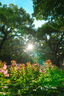 索尼SONY 索尼 Alpha7RV a7r5 全畫(huà)幅8K視頻拍攝6100萬(wàn)像素 A7R5機身 A7R5單機身 官方標配 曬單實(shí)拍圖
