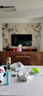 海爾（Haier）75H6C Pro 75英寸240Hz高刷300分區(qū)背光MiniLED智能4K超高清6+64G護眼游戲電視以舊換新一級能效 曬單實拍圖