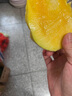 京鮮生 攀枝花凱特芒果 凈重4.5斤 單果600g 生鮮水果 源頭直發(fā) 曬單實(shí)拍圖