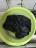 蠟象 棉麻類染料三件套84修復(fù)劑衣服染色劑固色劑還原黑色免煮牛仔褲翻新改色染料衣物不掉色不褪色 藏藍款三件套 曬單實拍圖
