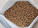 神陽(yáng)錦鯉飼料藏本育成450g中粒四季通用觀(guān)景魚(yú)食蘭壽金魚(yú)池塘飼料魚(yú)糧 曬單實(shí)拍圖