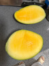 京鮮生 攀枝花凱特芒果 凈重4.5斤 單果600g 生鮮水果 源頭直發(fā) 曬單實(shí)拍圖