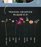 樂高（LEGO）積木拼裝10342 粉黛花束男孩女孩玩具七夕情人節(jié)禮物 曬單實拍圖