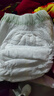 babycare金山茶花嬰兒拉拉褲mini裝L碼20片(9-14kg)尿不濕【新老混發(fā)】 曬單實(shí)拍圖