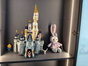 Disney玲娜貝兒積木琳娜貝爾迪士尼女孩子系列生日禮物拼裝玩具拼圖 貝兒迪士尼城堡套餐 曬單實拍圖