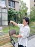 袋鼠卡拉真皮包包女士2025新款中老年女包媽媽斜挎小包包手機包單肩包輕便 棕色（手包+卡包+禮盒） 曬單實(shí)拍圖