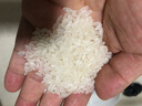 草原三河 內(nèi)蒙古大米 優(yōu)質(zhì)黑土地大米長粒 綠色大米5kg*1袋 曬單實拍圖