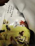 橙小萌農(nóng)家散養(yǎng)乳鴿 3只 2.4斤 煲湯食材烤乳鴿源頭直發(fā) 曬單實(shí)拍圖