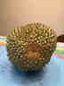 金尼堯新鮮黑刺榴蓮馬來(lái)西亞D200液氮冷凍榴蓮整果3.0-3.5斤/個(gè)源頭直發(fā) 曬單實(shí)拍圖