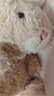 Jellycat米色甜美小兔小短腿公仔動(dòng)物毛絨玩偶娃娃生日七夕情人節(jié)禮物 甜美小兔 One Size 曬單實(shí)拍圖