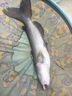 碳芯大力馬子線(xiàn)飛磕狼牙飛磕袖黑坑飛磕鯽魚(yú)鯉魚(yú)暴力搶魚(yú)pe子線(xiàn) 碳芯飛磕袖0.3線(xiàn)綁鉤8/鉤9 每個(gè)線(xiàn)號各10付 曬單實(shí)拍圖